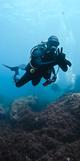 Reef Diving