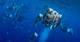 New moon spawning 10 nights