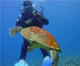 Discover Scuba Diving SE02
