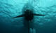 Open Water Diver Course