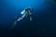 Open Water Diver Course
