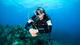 Open Water Diver Course