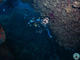 Deep Diver Specialty 