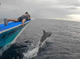 Rescue Diver Course in Malapascua
