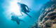 6 Nights and 10 dives | Hotel Indigo