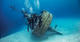 Wreck Diver Specialty Course