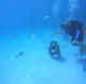 Open Water Diver with Pelícano Sport e-learning