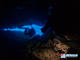 Fun Dive with rental equipment at Skualo Mallorca