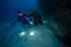 Night Dive Specialty
