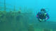 Fun Dive at Underwater Park Tarragano with All Blue Diving Cambrils
