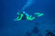 Scuba Diver Course