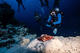 Double Fun Dive at Haliotis Cape Verde