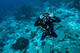 Open Water Diver Course