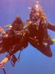 Pack 5 dives with equipment at Moondive