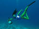 FEEL THE DIVE