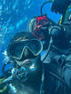 Fun Dive at El Cobre - Moondive