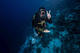 Open Water Diver Course Playa del Carmen and Cozumel