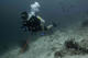 Advanced Open Water Course