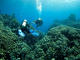 Rescue Diver Course + EFR
