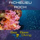 Daytrip to Richelieu Rock - Khao Lak