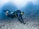 Open Water Diver Course