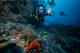 Advanced Open Water Course