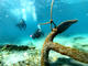 Fun Dive at Buceo Aguadulce