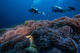 Advanced Open Water Diver Course