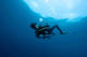 Divemaster Course