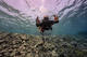 Open Water Diver Course