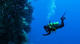 Advanced Open Water Course