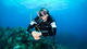 Open Water Diver Course