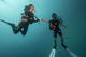 Double Fun Dive at the Reef