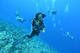 Try Dive 