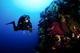 Night Dive in Marettimo