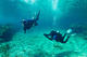 Rescue Diver + EFR Course