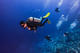 Advanced Open Water Course PLUS