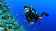 Fun Dive at Nisos Benidorm