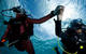 Try Dive