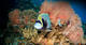 Komodo National Park 10 nights