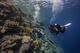 Try Dive from the beach