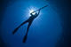 Spearfishing Course
