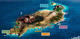 Fun Dive with equipment at Pura Vida Lanzarote
