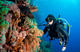 Open Water Diver Course in Cenotes