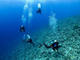 Discover scuba dive from boat