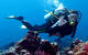 Double Dive in Punta Cana