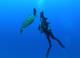 Double Fun Dive at Deep Fin Tenerife