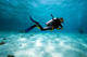 Fun Dive at Vibe Dive with equipment