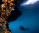 Fun Dive with equipment (beach or boat) at Buceo Calahonda