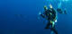 PADI® Night Diver